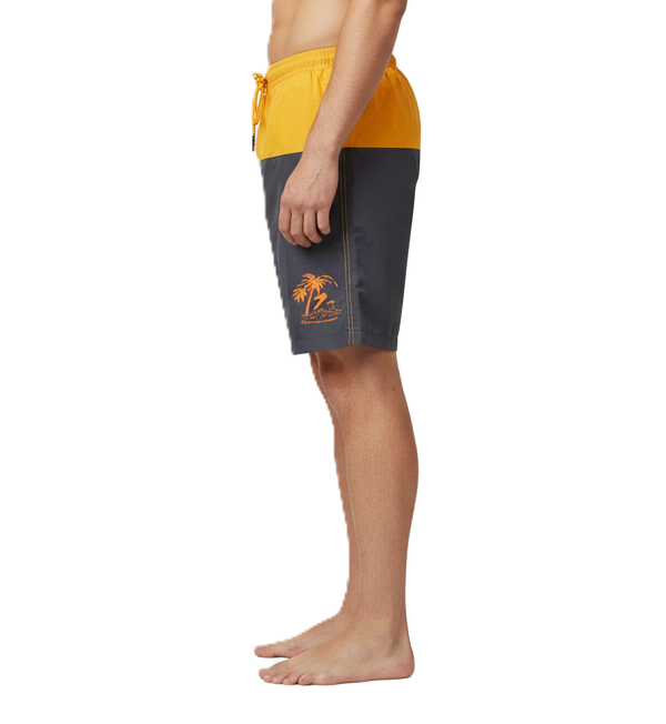 Mens Swimming Board Shorts Swim Shorts Trunks Swimwear Beach Summer